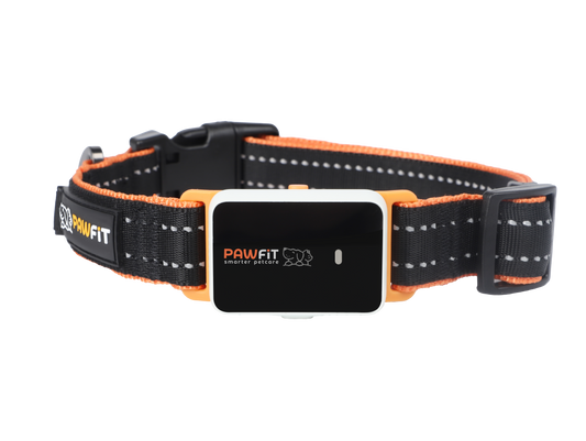 PAWFIT 3 Series Collar