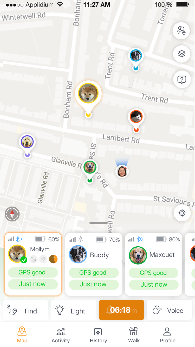 PAWFIT 3 - Fitness Dog GPS Tracker