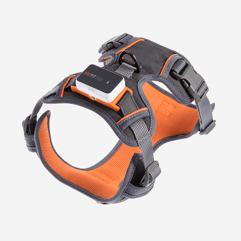 PAWFIT 3 Harness