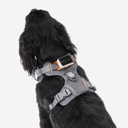 PAWFIT 3 - Fitness Dog GPS Tracker