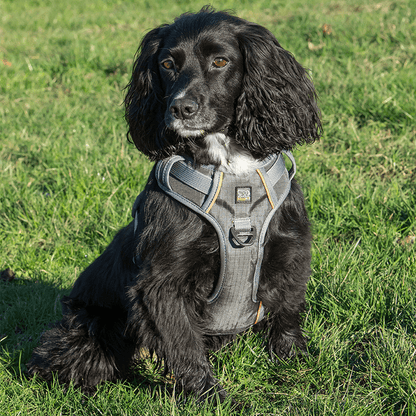 PAWFIT 3 Harness