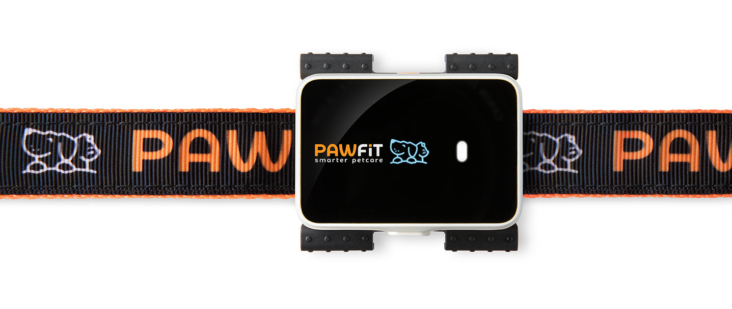 PAWFIT 3 - Fitness Dog GPS Tracker