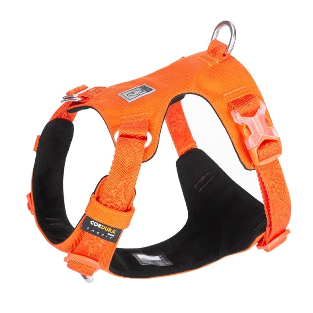 TLH6281-26 - Lightweight Harness orangeade XS