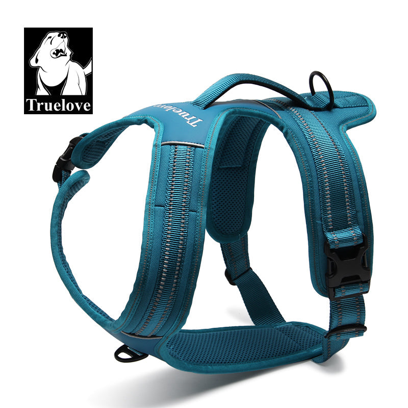 TLH5551-16 - Heavy Duty Harness Blue XS