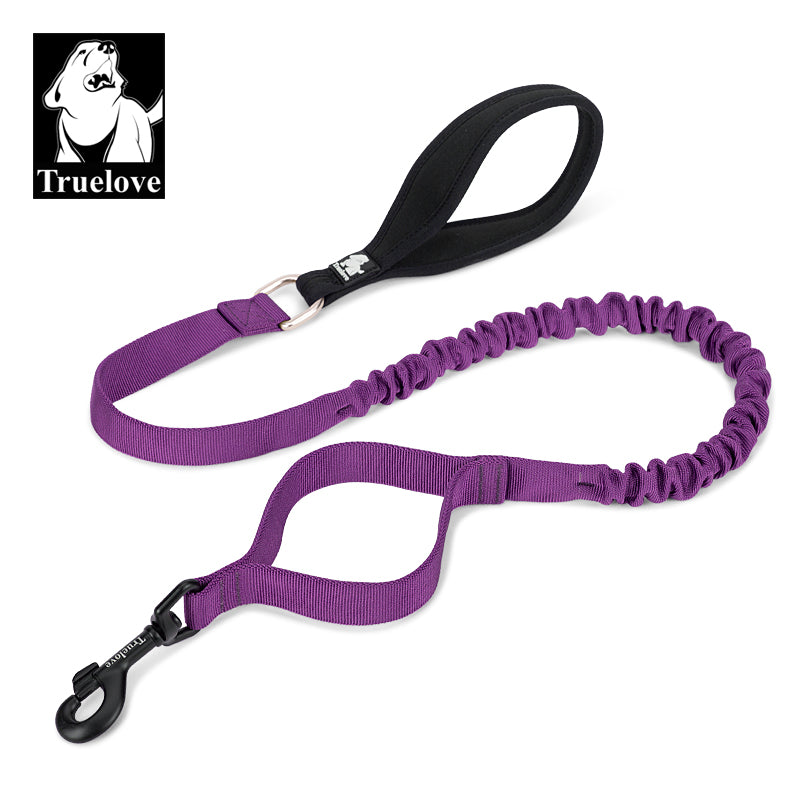 TLL2281-4 - Military leash purple - S