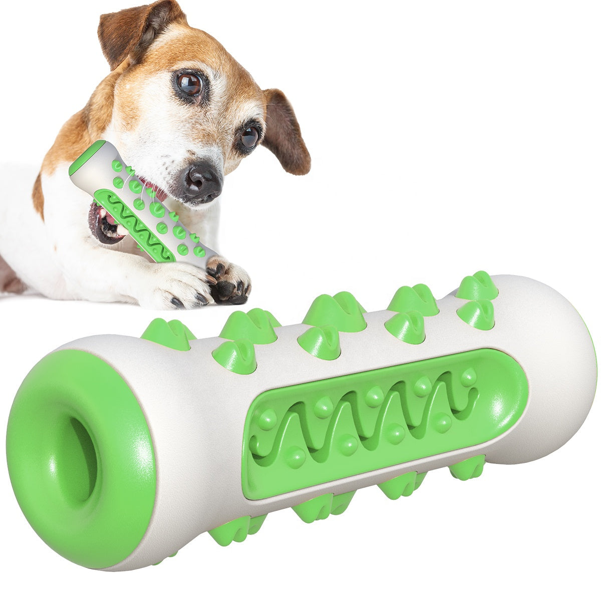 PT1019-2 - Green Dog Toothbrush Bone Toy